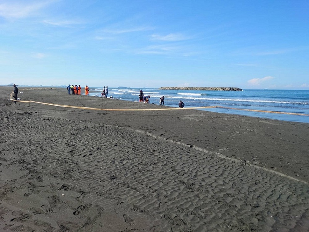 2023/08/27海洋局協助旗津海水浴沙灘場除污，提供民眾乾淨親水環境