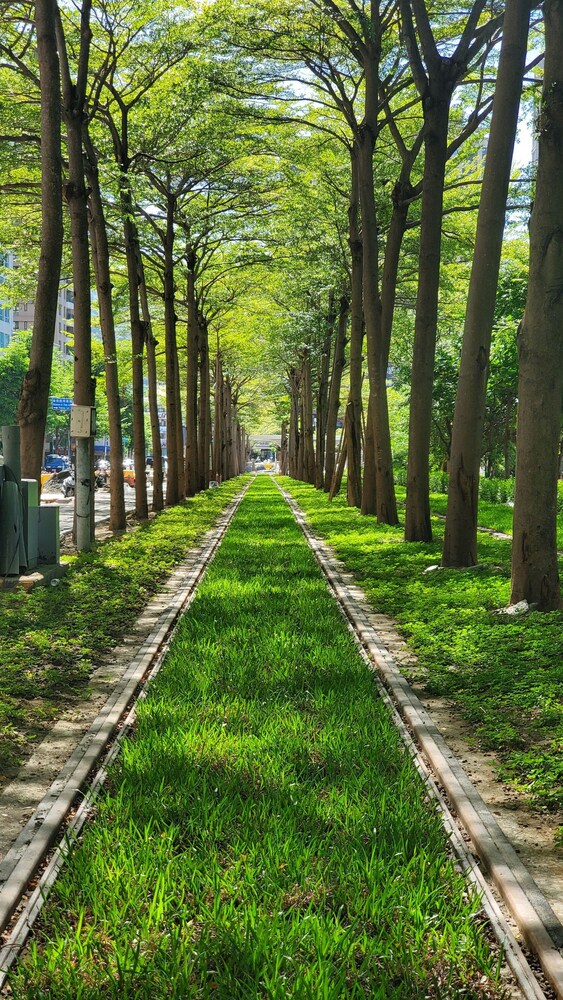 輕軌成圓 四線齊發