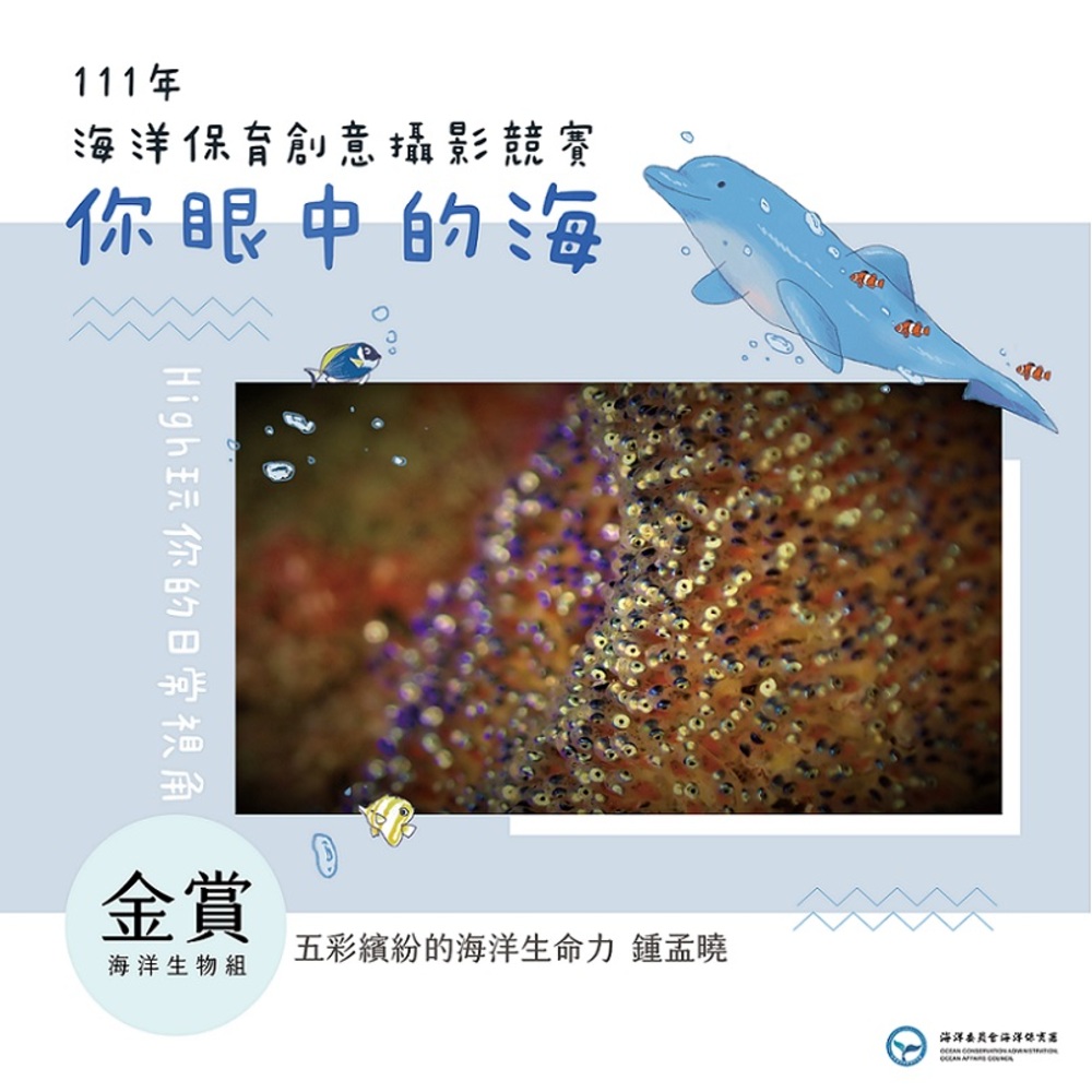 2022/12/03海保署舉辦海洋保育創意攝影競賽帶大家看見海洋的美