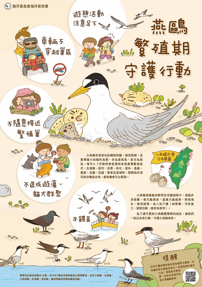 2025/05/22「世界生物多樣性日」 海保署攜手各界保育小燕鷗與綠蠵龜