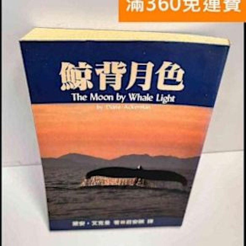 鯨背月色