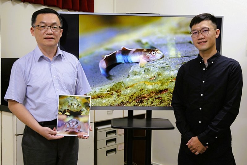 2026/05/29中山大學發現新種魚類命名「紋面韌鰕虎」