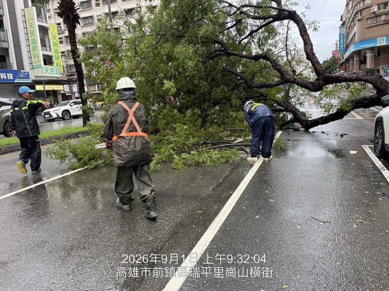 2026/09/01高市保泰路路樹倒伏 公園處迅速排除恢復交通